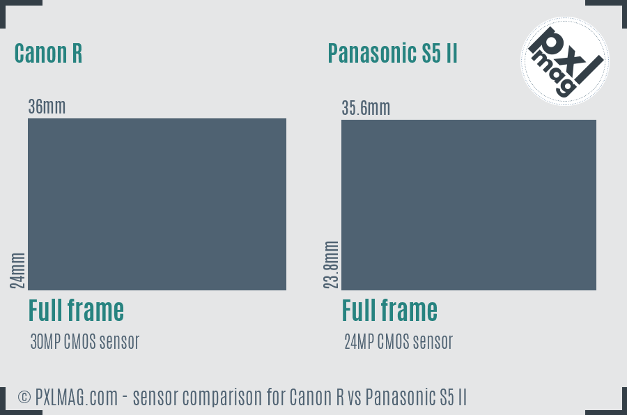 Canon R vs Panasonic S5 II sensor size comparison