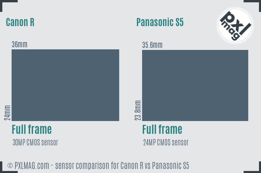 Canon R vs Panasonic S5 sensor size comparison