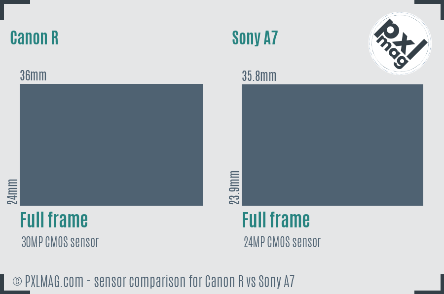 Canon R vs Sony A7 sensor size comparison