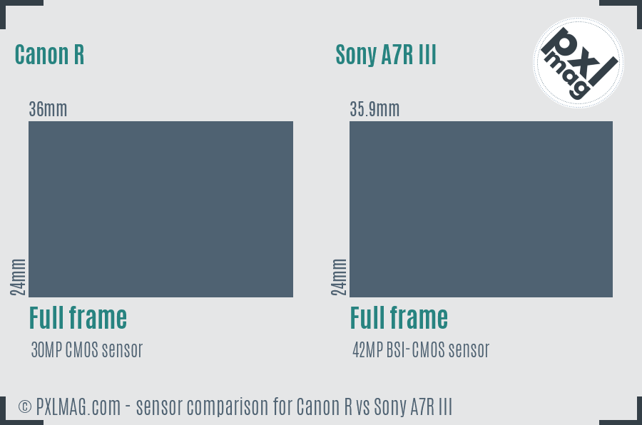 Canon R vs Sony A7R III sensor size comparison