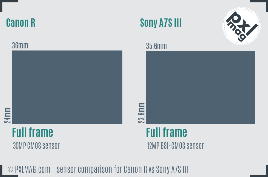 Canon R vs Sony A7S III sensor size comparison