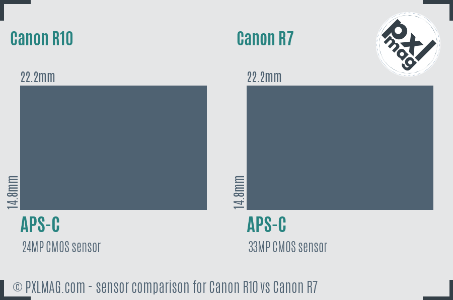 Canon R10 vs Canon R7 sensor size comparison