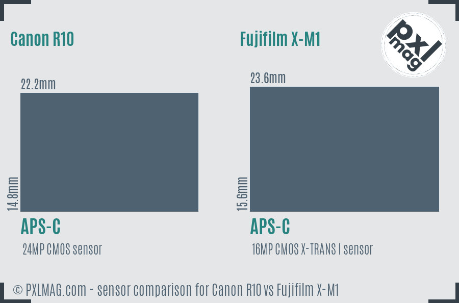 Canon R10 vs Fujifilm X-M1 sensor size comparison