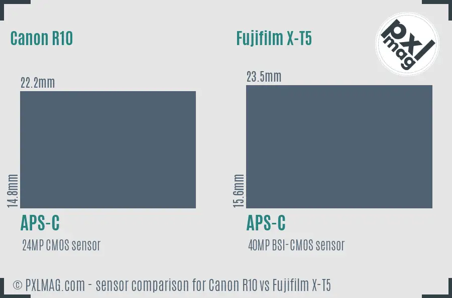 Canon R10 vs Fujifilm X-T5 sensor size comparison