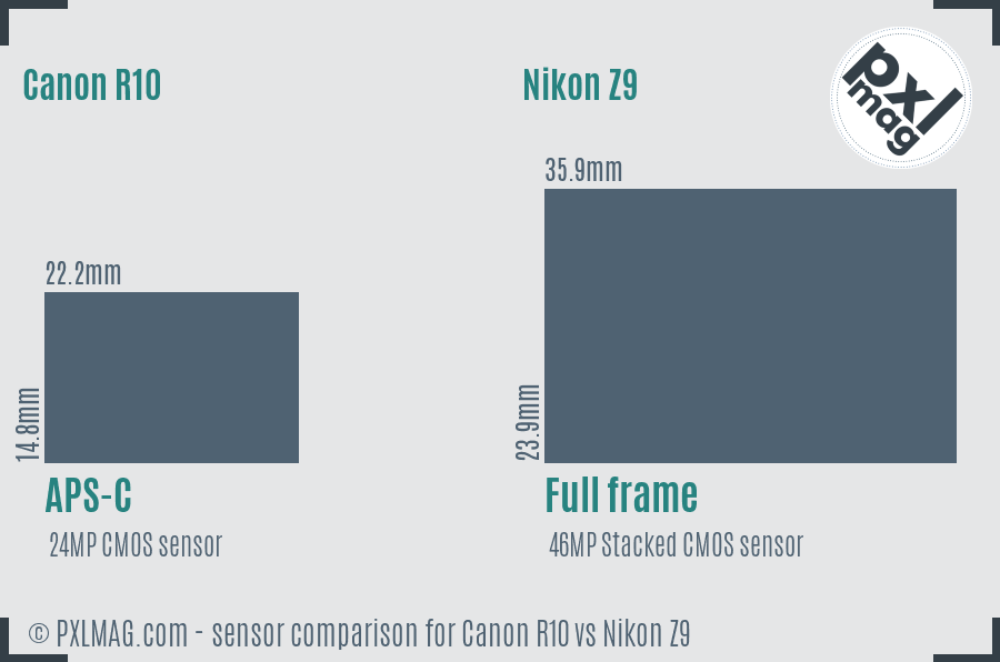 Canon R10 vs Nikon Z9 sensor size comparison