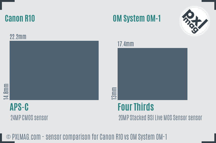 Canon R10 vs OM System OM-1 sensor size comparison