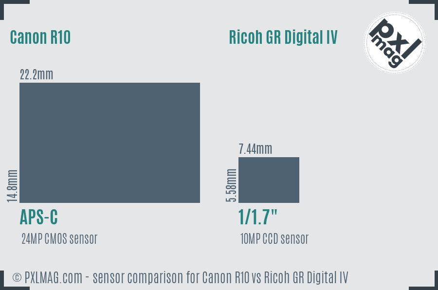 Canon R10 vs Ricoh GR Digital IV sensor size comparison Canon R10 vs Ricoh GR Digital IV sensor size comparison