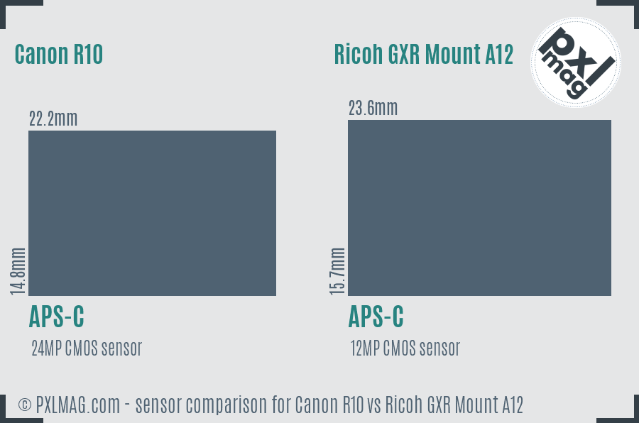 Canon R10 vs Ricoh GXR Mount A12 sensor size comparison