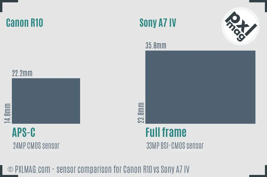 Canon R10 vs Sony A7 IV sensor size comparison