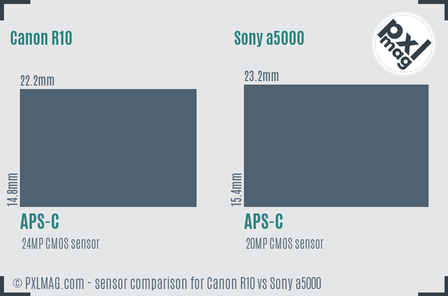 Canon R10 vs Sony a5000 sensor size comparison