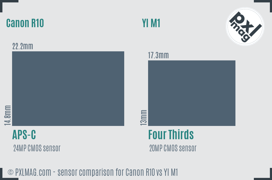 Canon R10 vs YI M1 sensor size comparison