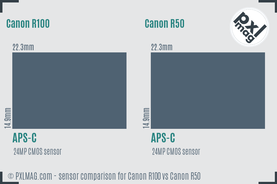 Canon R100 vs Canon R50 sensor size comparison