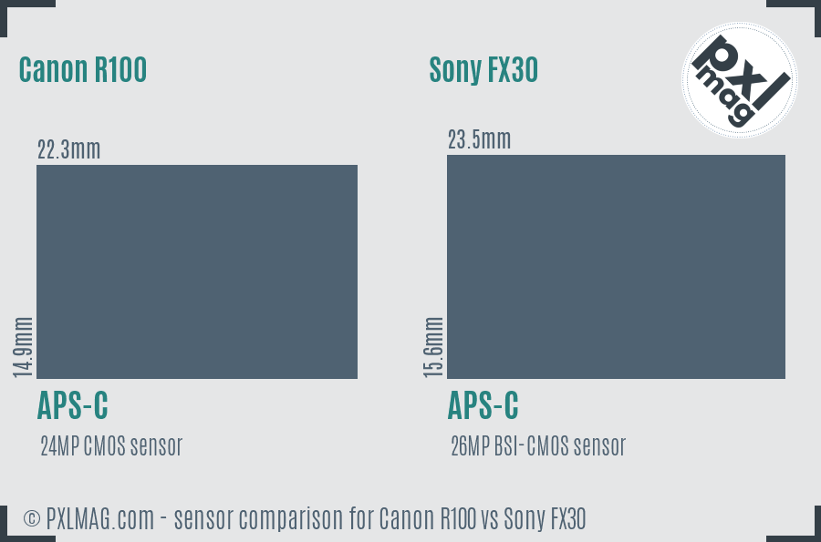 Canon R100 vs Sony FX30 sensor size comparison