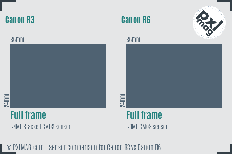 Canon R3 vs Canon R6 sensor size comparison