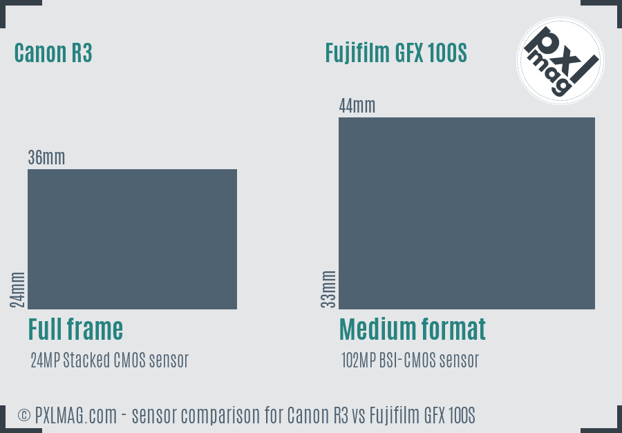 Canon R3 vs Fujifilm GFX 100S sensor size comparison