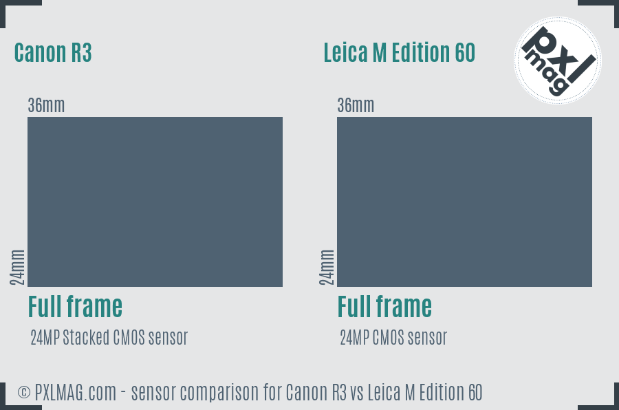 Canon R3 vs Leica M Edition 60 sensor size comparison