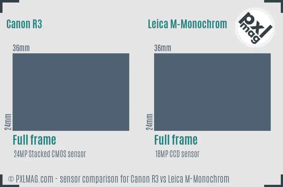 Canon R3 vs Leica M-Monochrom sensor size comparison