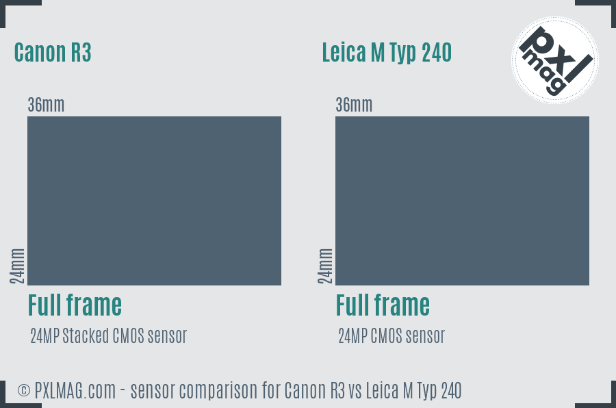 Canon R3 vs Leica M Typ 240 sensor size comparison