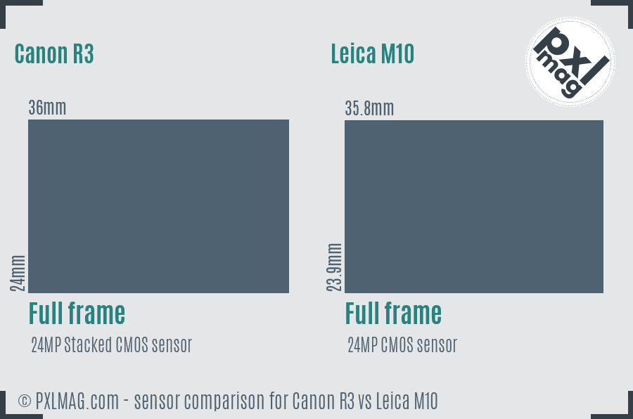 Canon R3 vs Leica M10 sensor size comparison