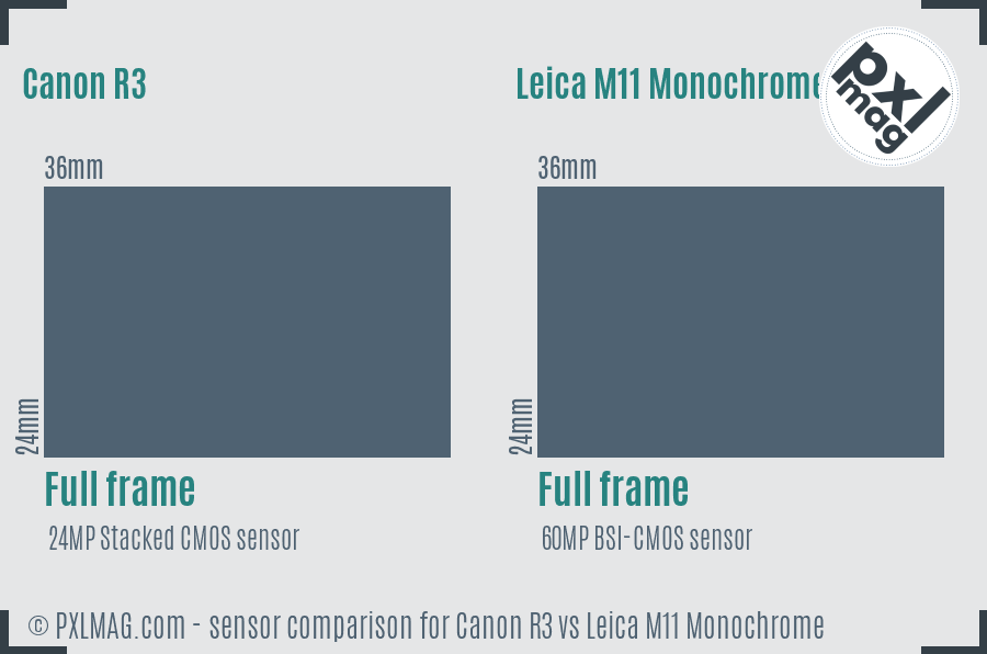 Canon R3 vs Leica M11 Monochrome sensor size comparison