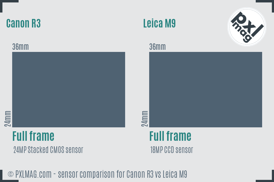 Canon R3 vs Leica M9 sensor size comparison