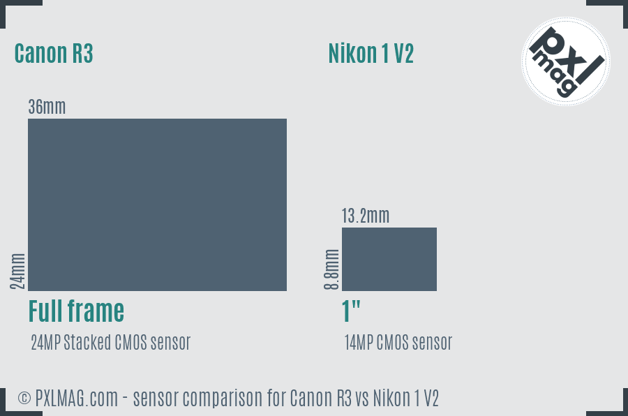 Canon R3 vs Nikon 1 V2 sensor size comparison