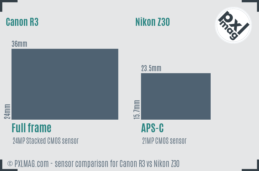 Canon R3 vs Nikon Z30 sensor size comparison