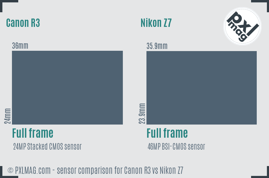 Canon R3 vs Nikon Z7 sensor size comparison