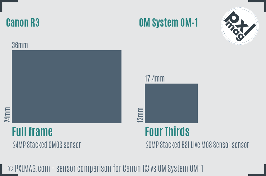 Canon R3 vs OM System OM-1 sensor size comparison