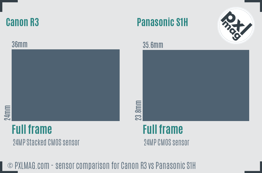 Canon R3 vs Panasonic S1H sensor size comparison