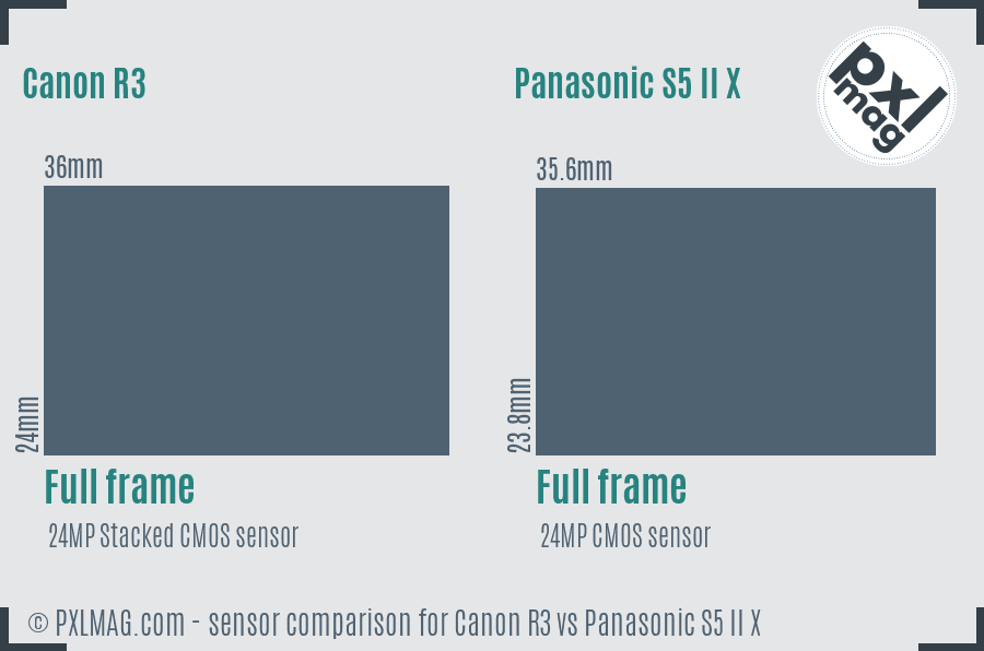 Canon R3 vs Panasonic S5 II X sensor size comparison