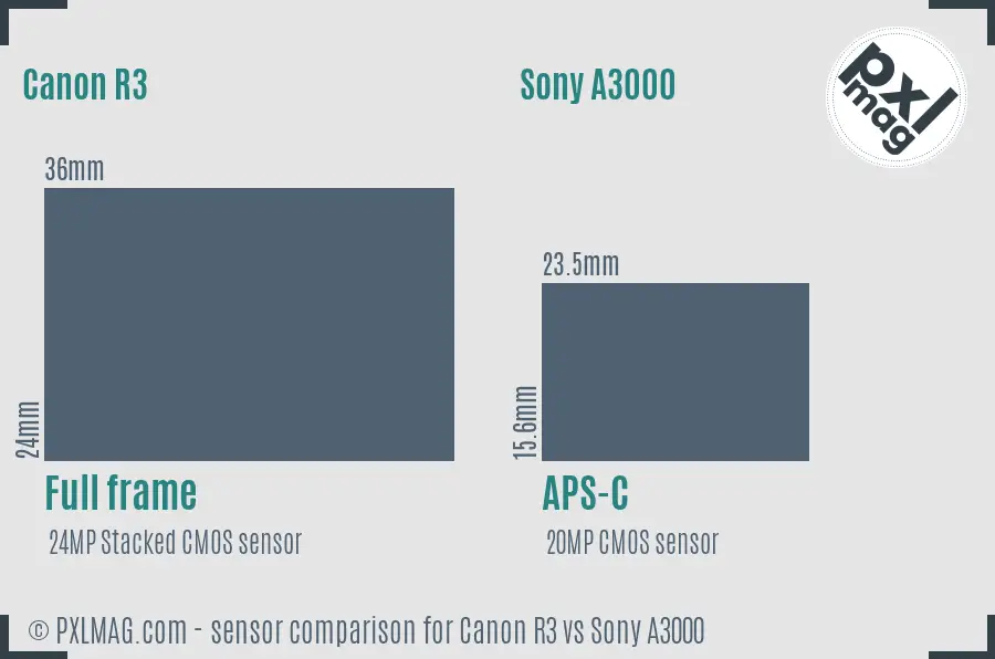 Canon R3 vs Sony A3000 sensor size comparison