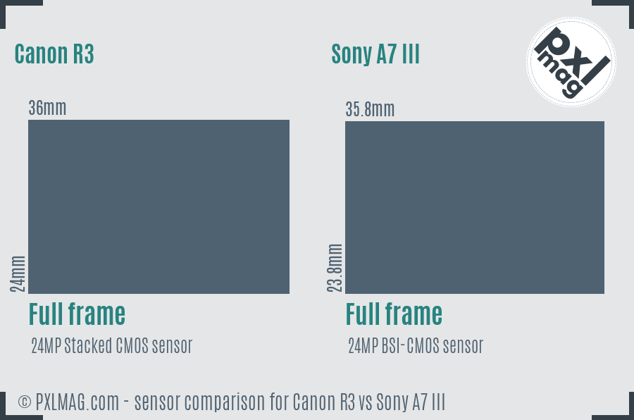 Canon R3 vs Sony A7 III sensor size comparison