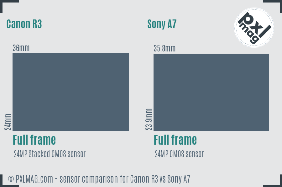 Canon R3 vs Sony A7 sensor size comparison