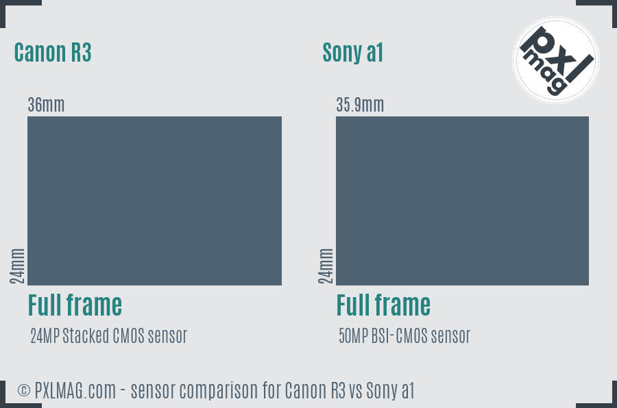 Canon R3 vs Sony a1 sensor size comparison