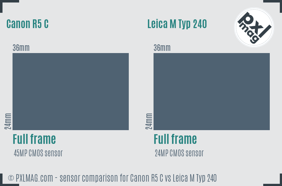 Canon R5 C vs Leica M Typ 240 sensor size comparison