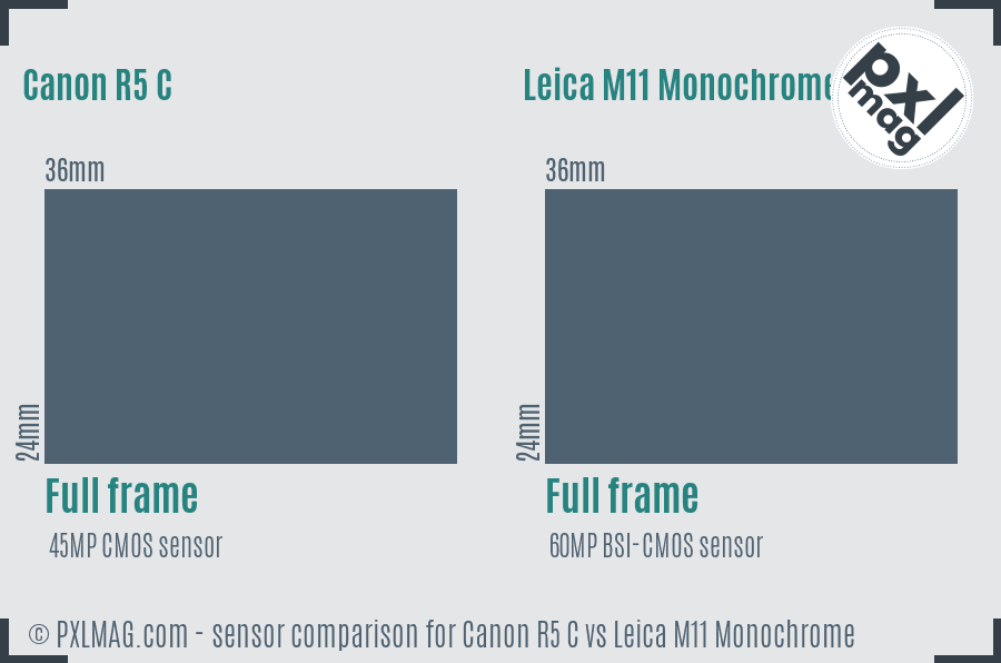 Canon R5 C vs Leica M11 Monochrome sensor size comparison