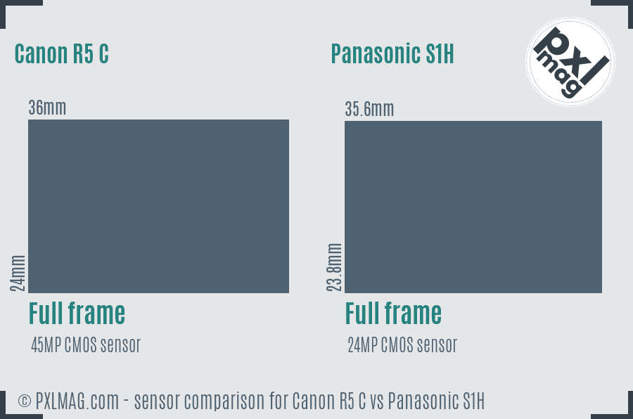 Canon R5 C vs Panasonic S1H sensor size comparison