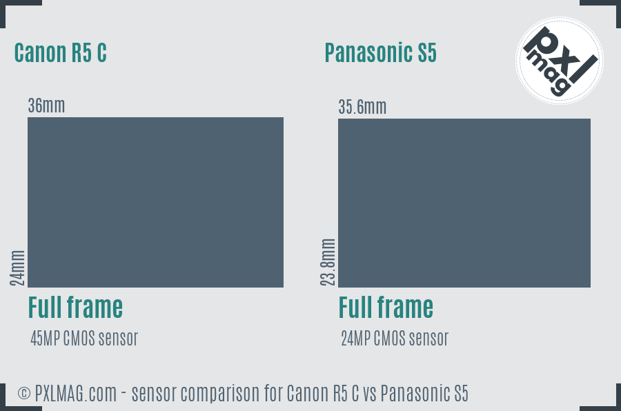 Canon R5 C vs Panasonic S5 sensor size comparison