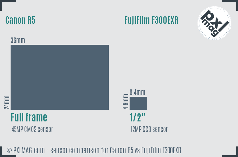 Canon R5 vs FujiFilm F300EXR sensor size comparison