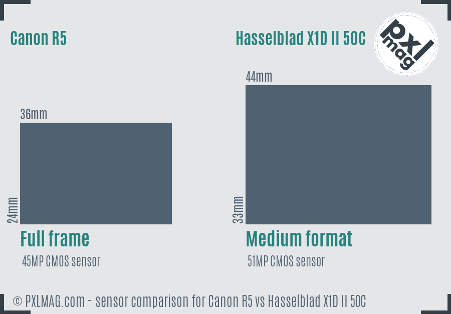 Canon R5 vs Hasselblad X1D II 50C sensor size comparison Canon R5 vs Hasselblad X1D II 50C sensor size comparison