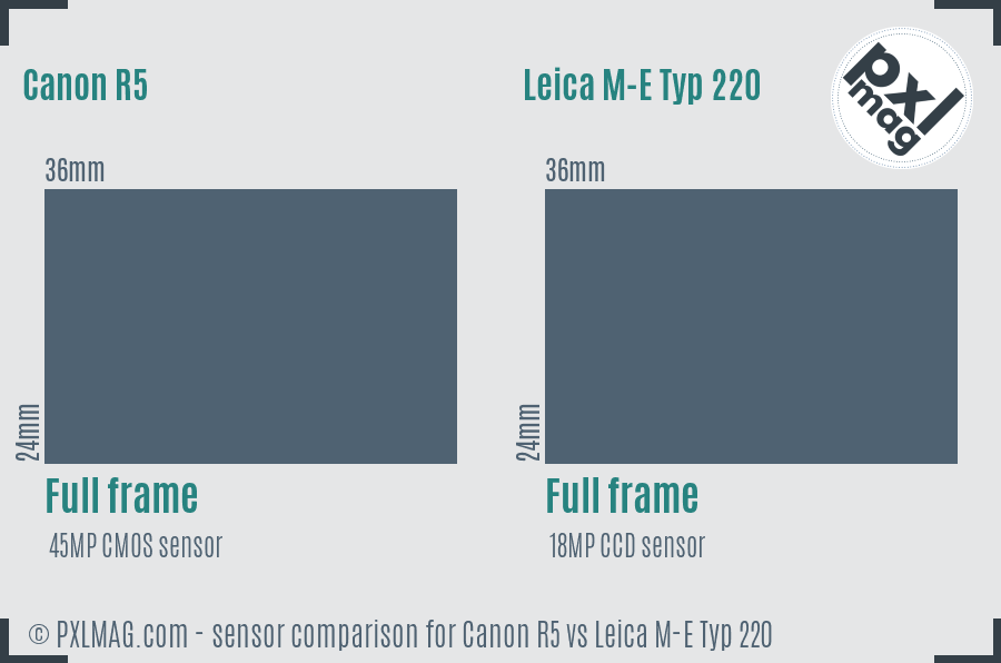 Canon R5 vs Leica M-E Typ 220 sensor size comparison