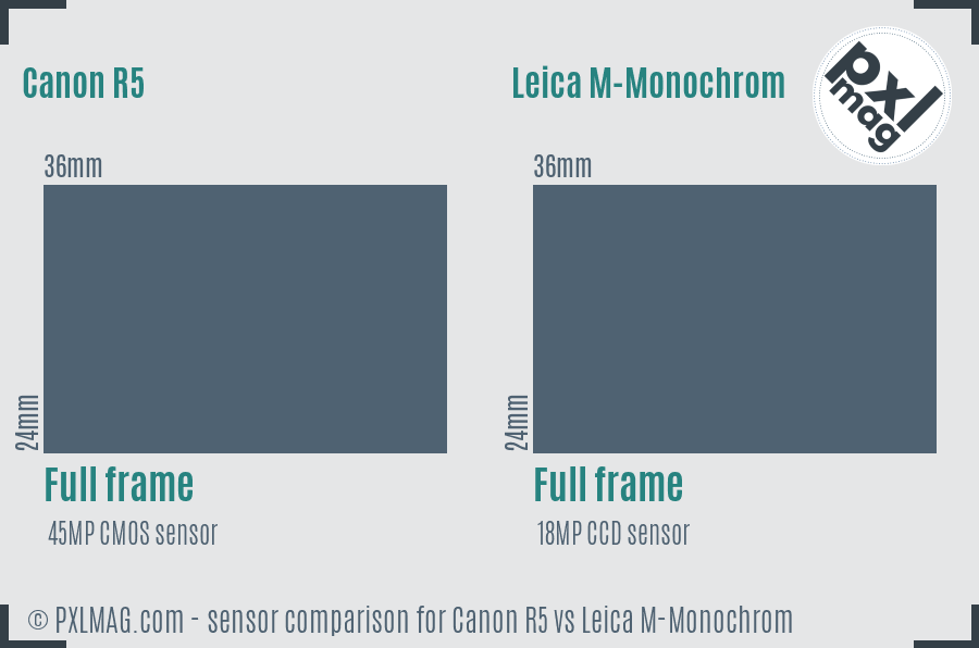 Canon R5 vs Leica M-Monochrom sensor size comparison