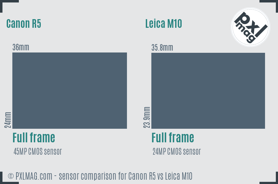 Canon R5 vs Leica M10 sensor size comparison