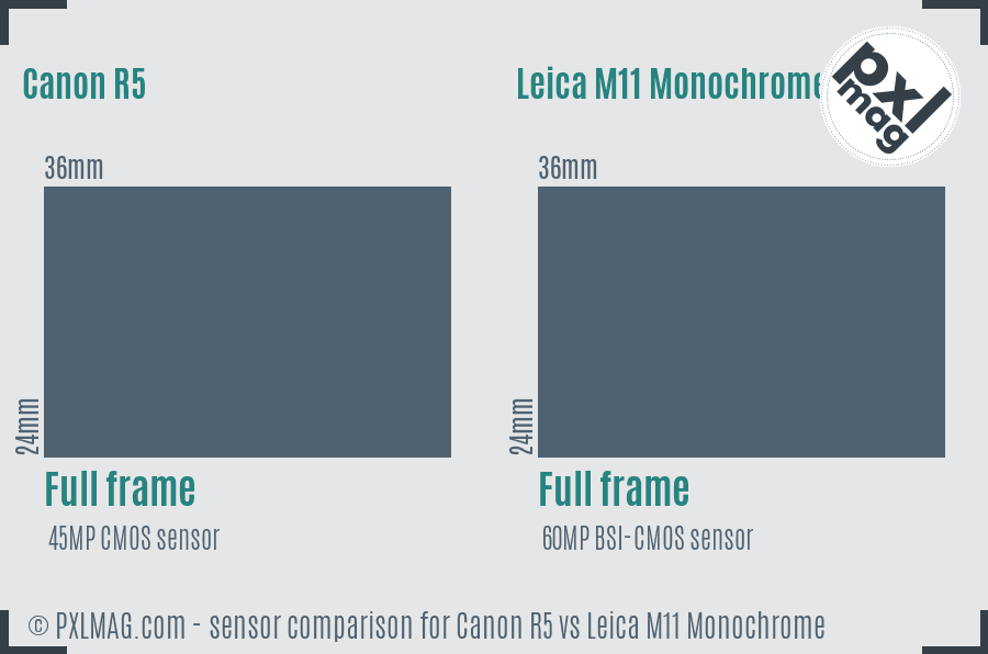 Canon R5 vs Leica M11 Monochrome sensor size comparison