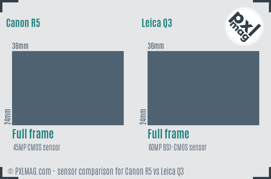 Canon R5 vs Leica Q3 sensor size comparison Canon R5 vs Leica Q3 sensor size comparison