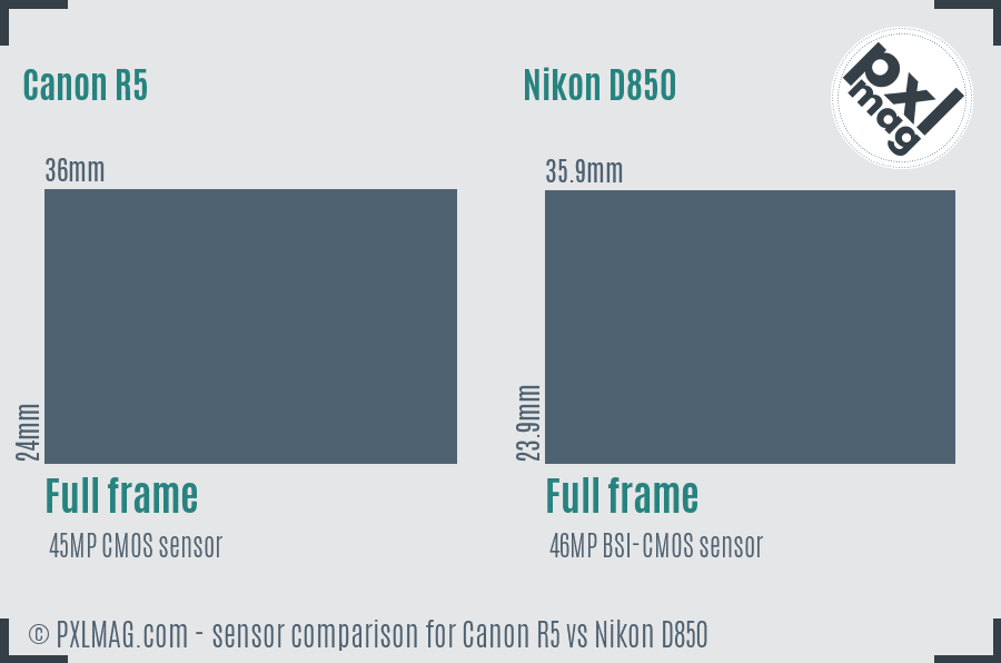 Canon R5 vs Nikon D850 sensor size comparison