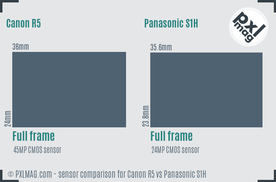 Canon R5 vs Panasonic S1H sensor size comparison