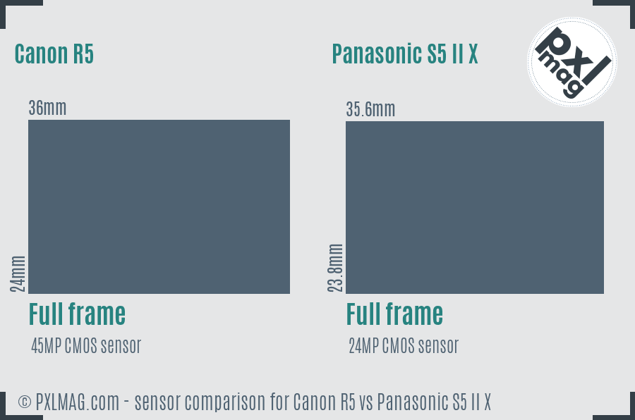 Canon R5 vs Panasonic S5 II X sensor size comparison