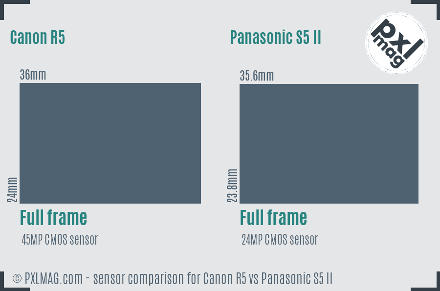 Canon R5 vs Panasonic S5 II sensor size comparison